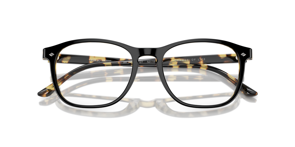 Giorgio Armani AR7003 6127