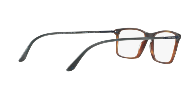 Giorgio Armani AR7037 5570