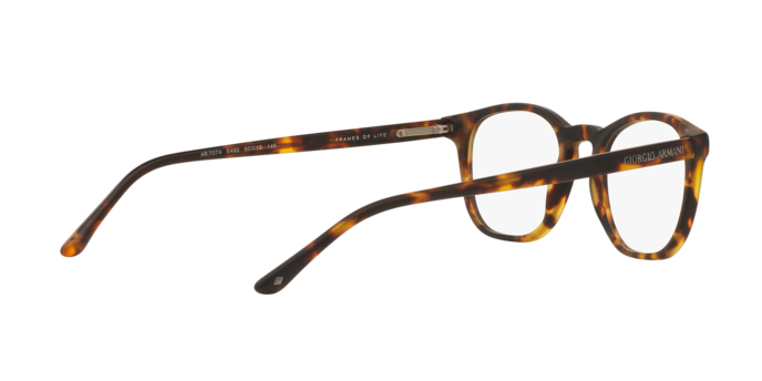 Giorgio Armani AR7074 5492