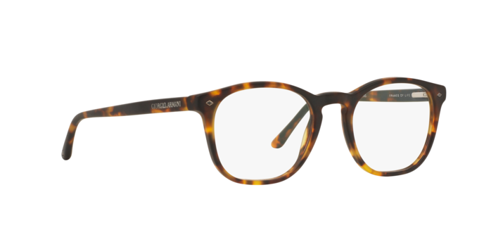 Giorgio Armani AR7074 5492