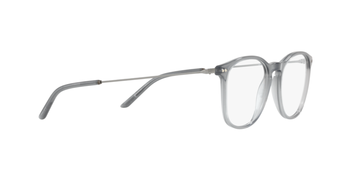 Giorgio Armani AR7160 5681