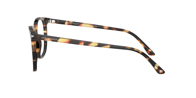 Giorgio Armani AR7192 5847