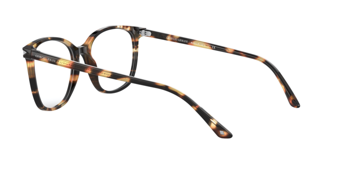 Giorgio Armani AR7192 5847