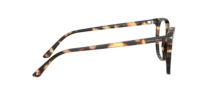 Giorgio Armani AR7192 5847