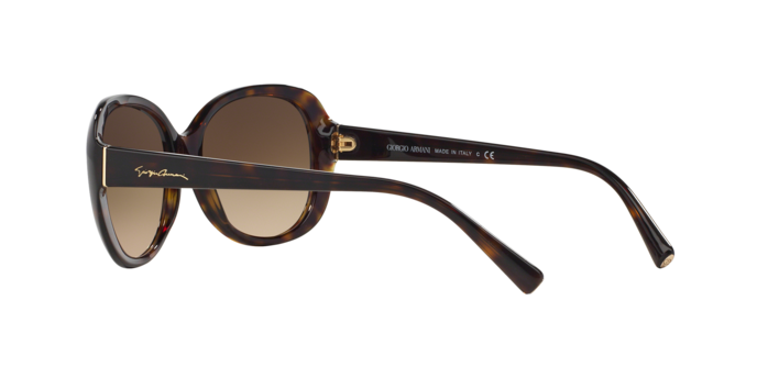 Giorgio Armani AR8047 502613