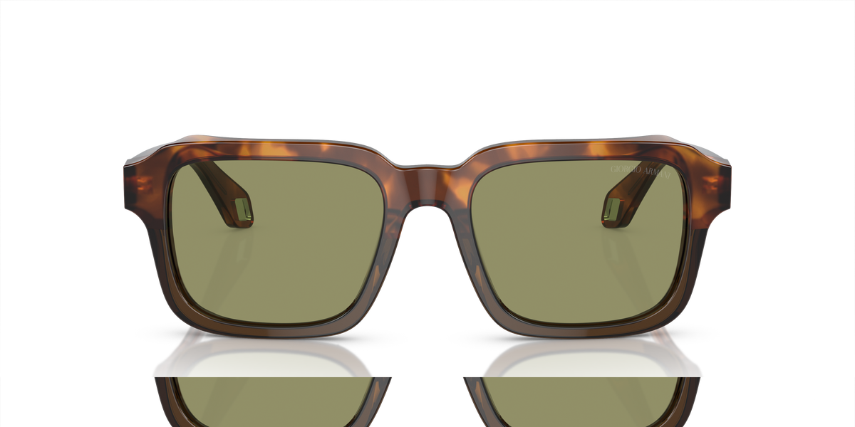 Giorgio Armani AR8194U 598814