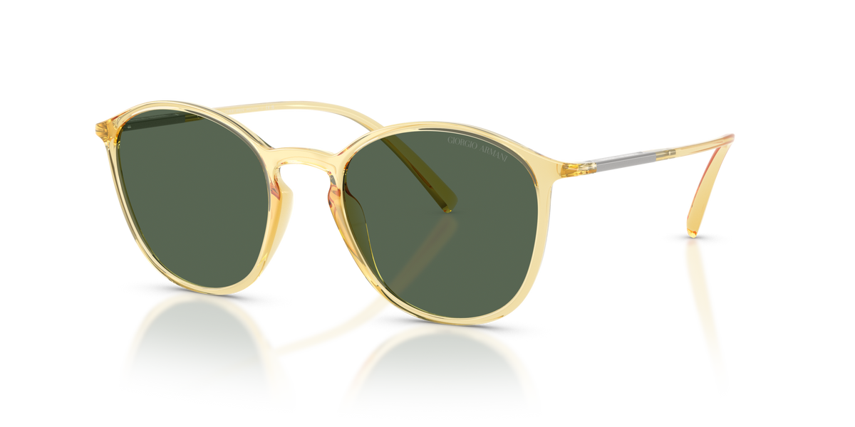 Giorgio Armani AR8233U 623871