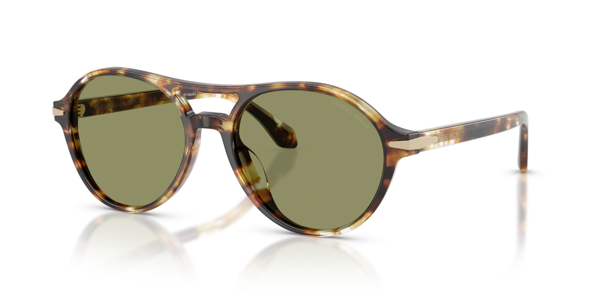 Giorgio Armani AR8236U 623214