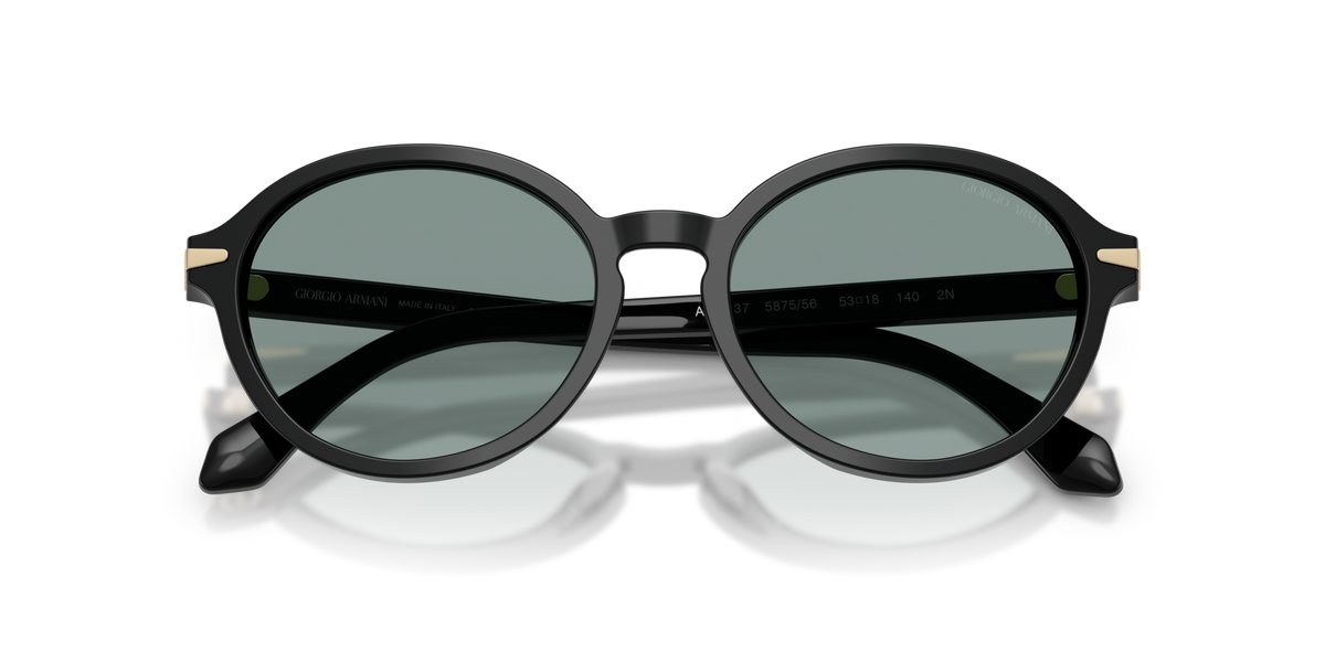 Giorgio Armani AR8237 587556