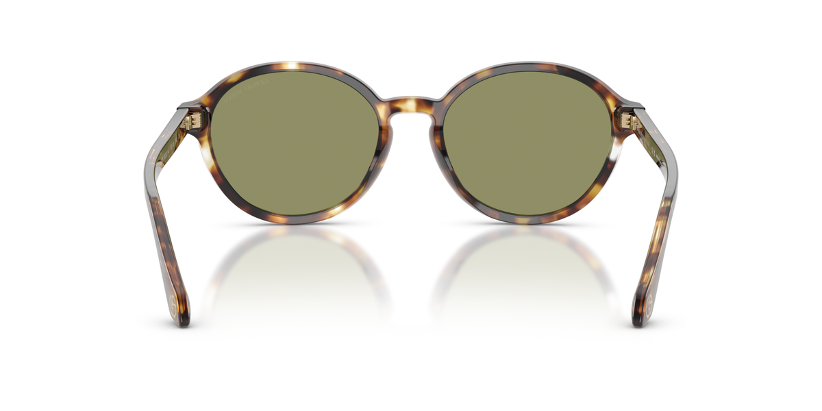 Giorgio Armani AR8237 623214