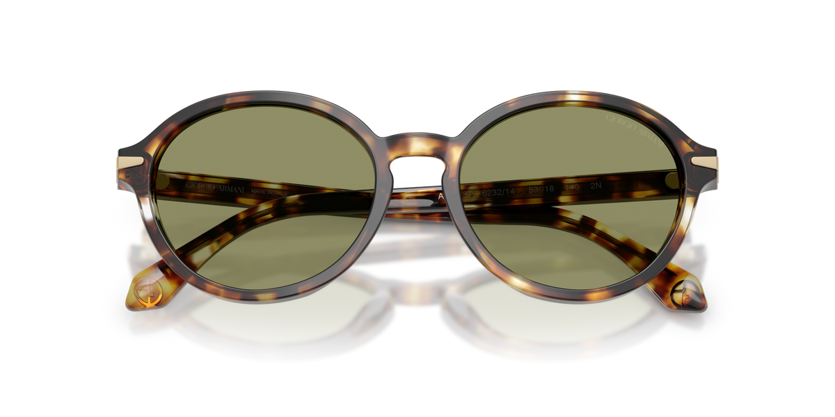 Giorgio Armani AR8237 623214