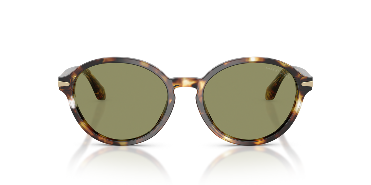 Giorgio Armani AR8237 623214