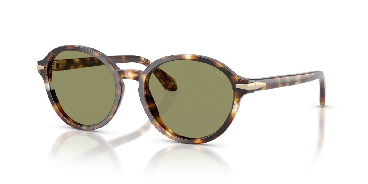 Giorgio Armani AR8237 623214