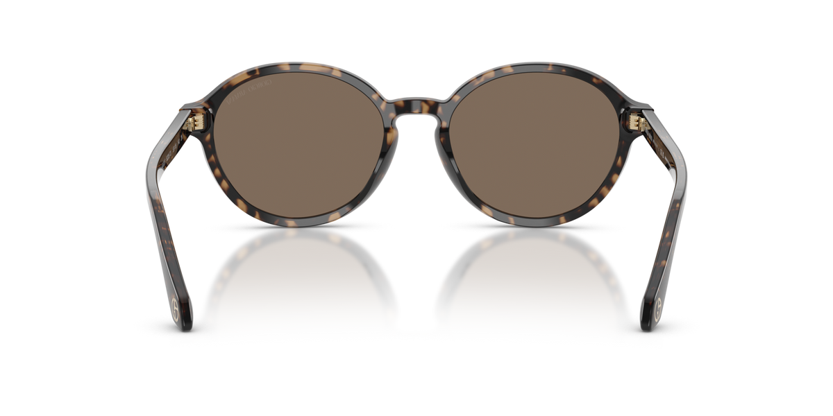 Giorgio Armani AR8237 623573