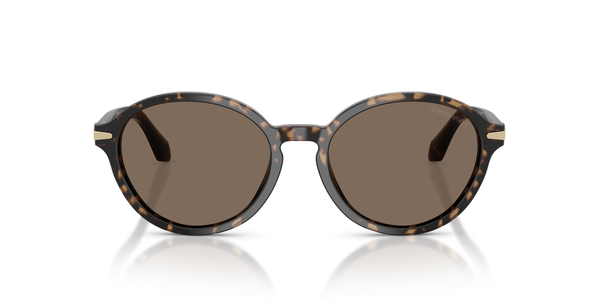 Giorgio Armani AR8237 623573