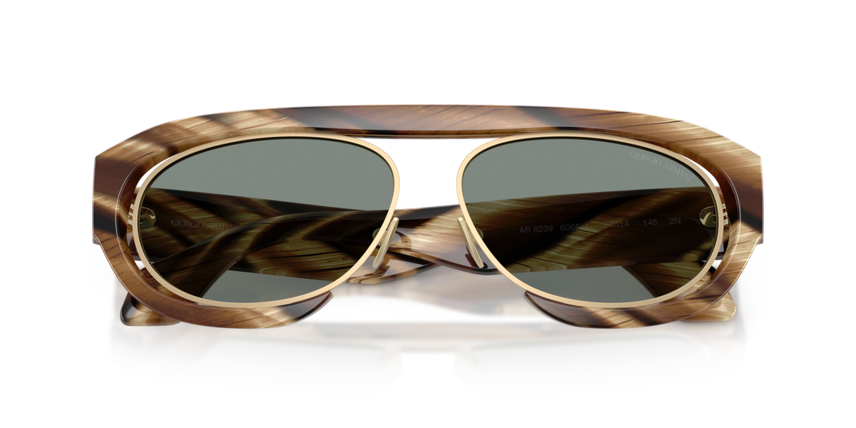 Giorgio Armani AR8239 6065/1