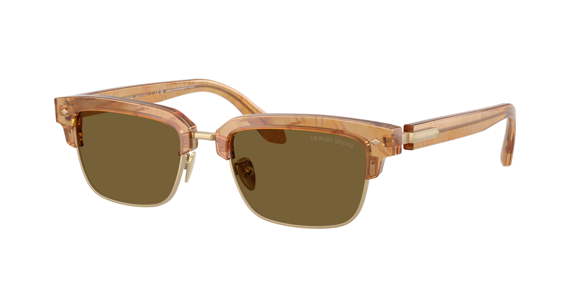Giorgio Armani AR8243 630073