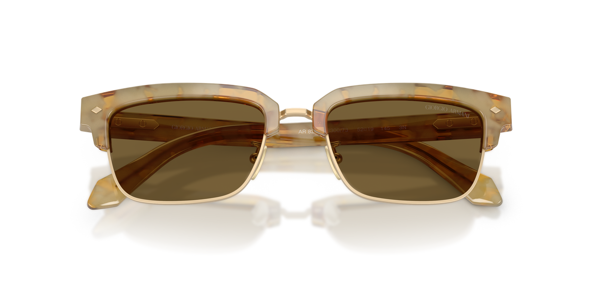 Giorgio Armani AR8243 630073