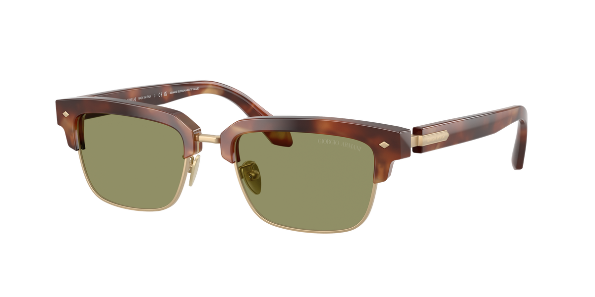 Giorgio Armani AR8243 630214