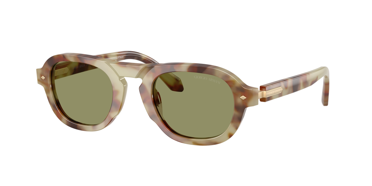 Giorgio Armani AR8244 629914
