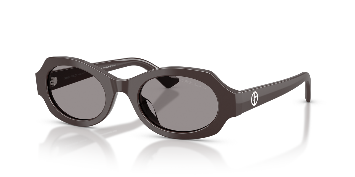 Giorgio Armani AR8245HU 6306/1