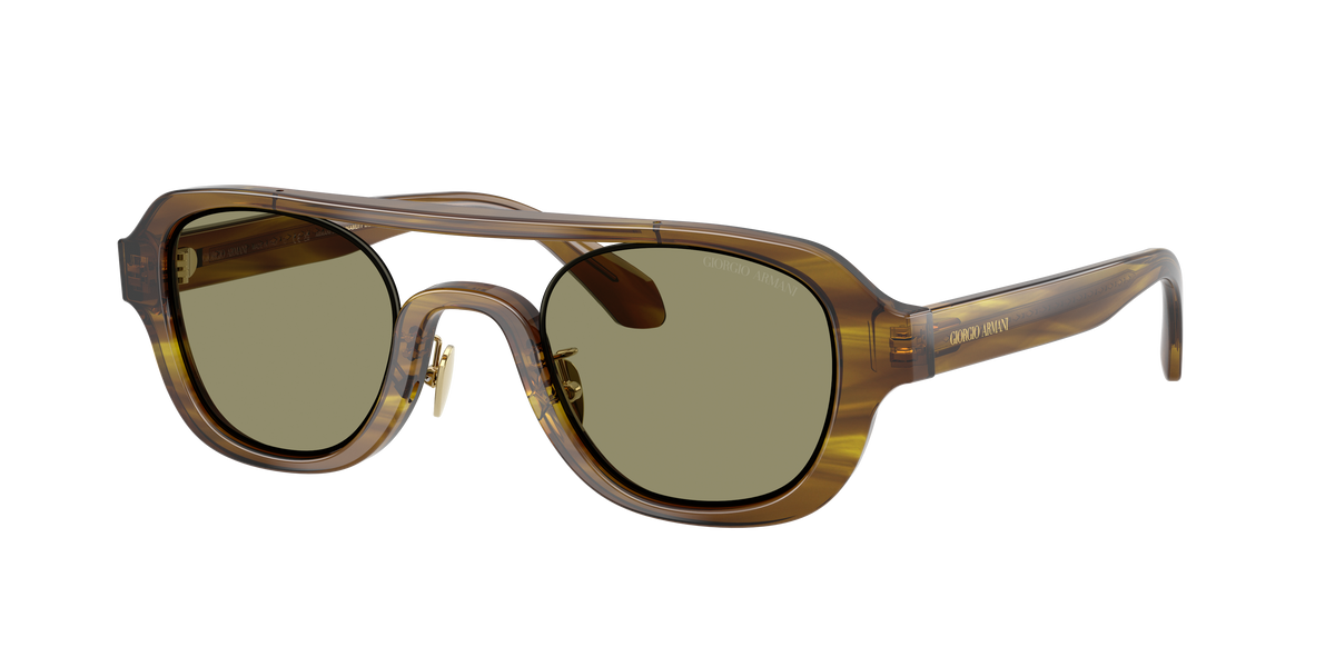 Giorgio Armani AR8247 63302A