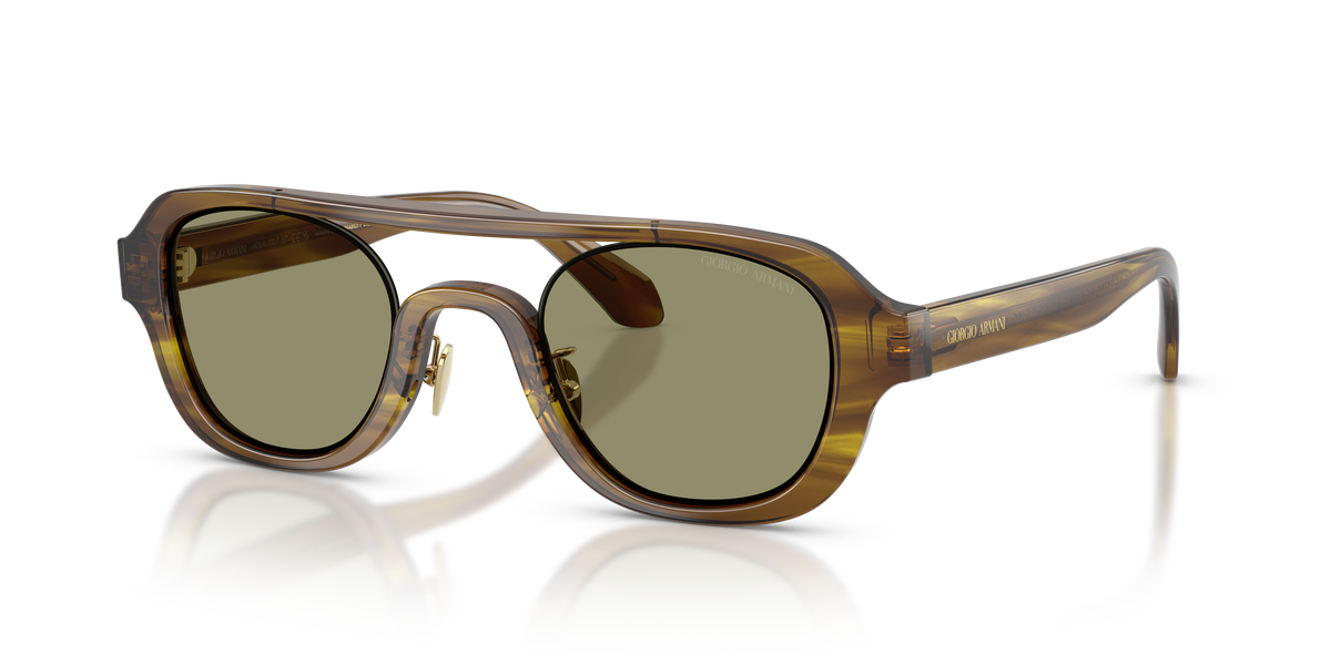 Giorgio Armani AR8247 63302A