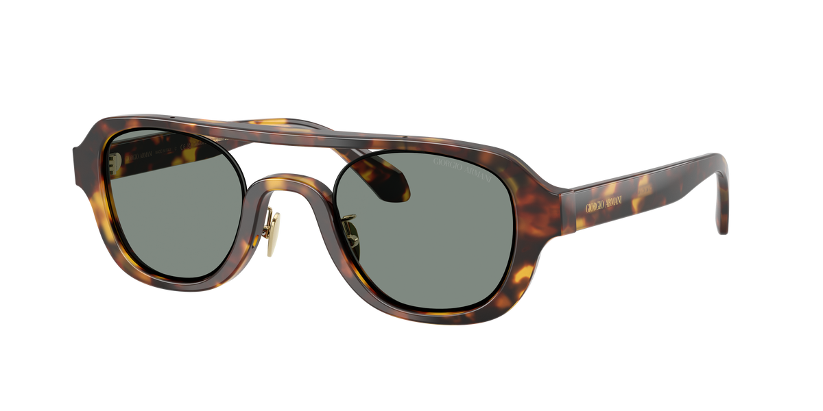 Giorgio Armani AR8247 6331/1