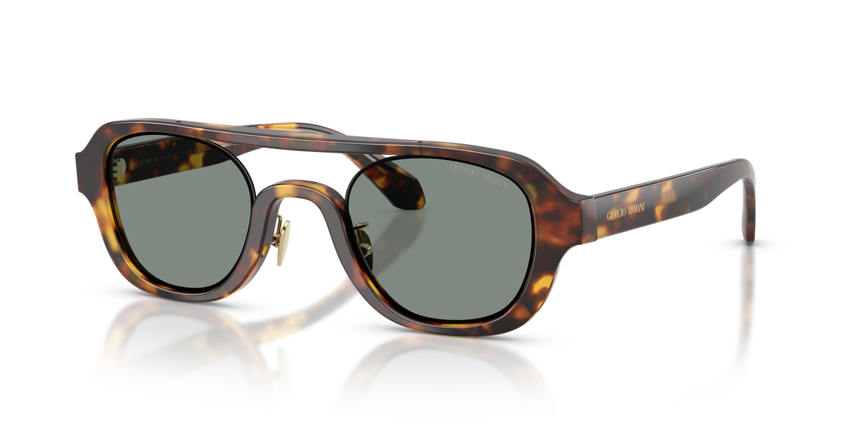 Giorgio Armani AR8247 6331/1