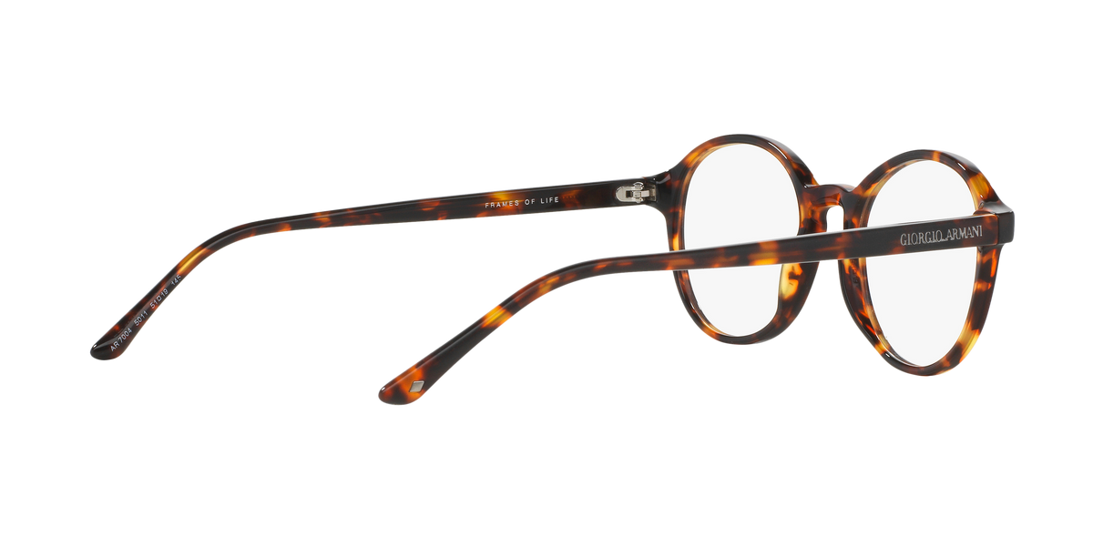 Giorgio Armani AR7004 5011