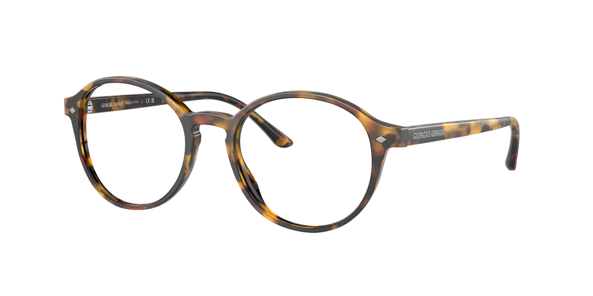 Giorgio Armani AR7004 5011