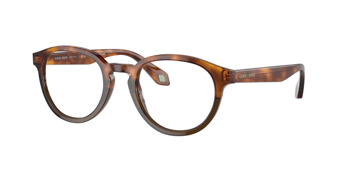 Giorgio Armani AR7248 5988