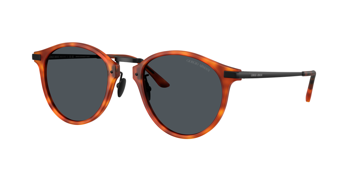 Giorgio Armani AR8250 6404R5