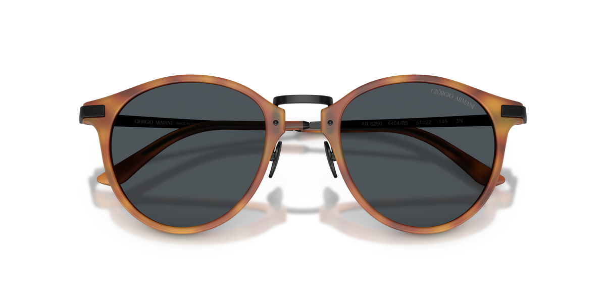 Giorgio Armani AR8250 6404R5