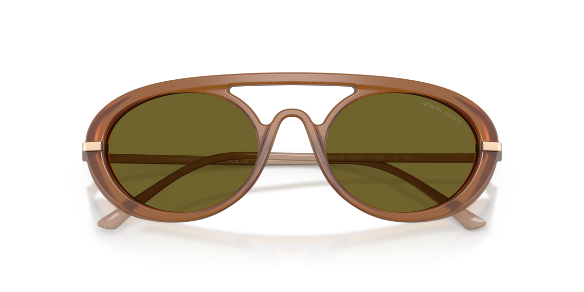 Giorgio Armani AR8256 6410/2
