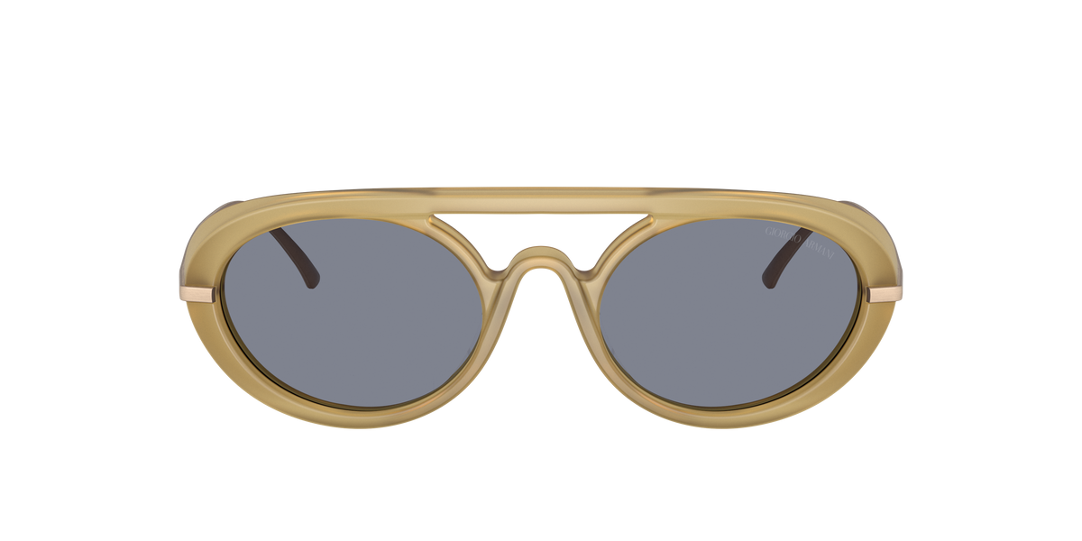 Giorgio Armani AR8256 641119
