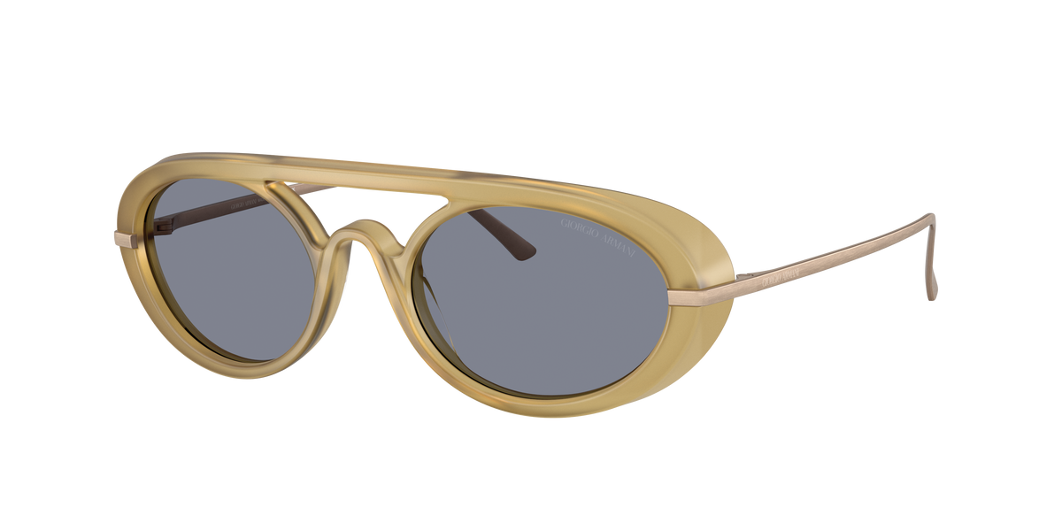 Giorgio Armani AR8256 641119