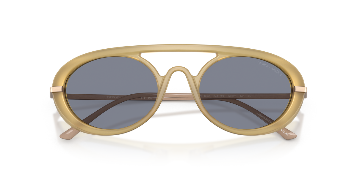 Giorgio Armani AR8256 641119