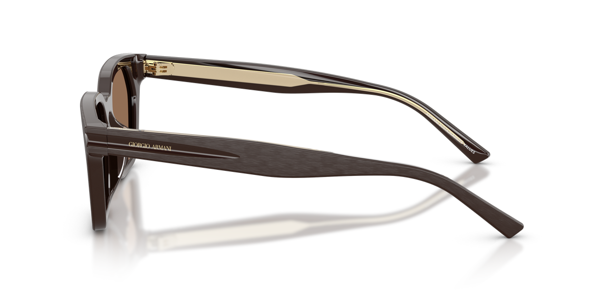 Giorgio Armani AR8251U 640273