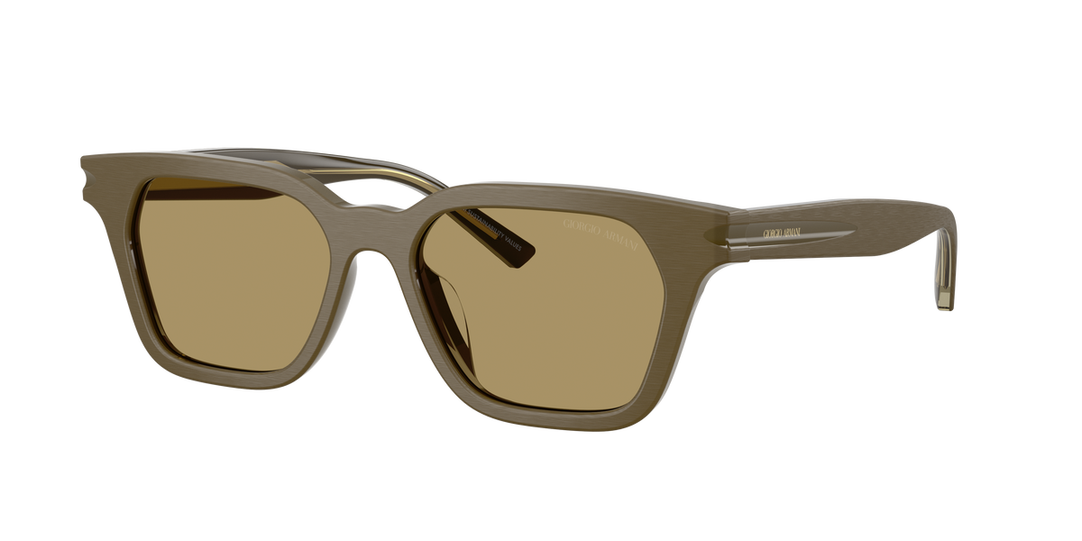 Giorgio Armani AR8251U 6401/2