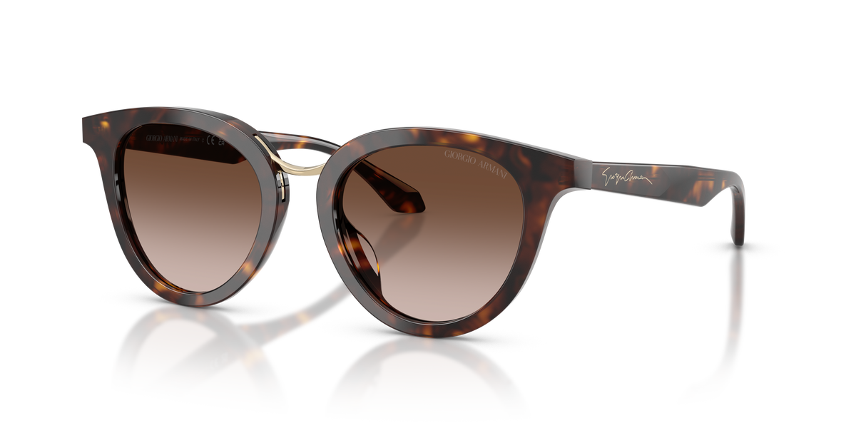Giorgio Armani AR8252U 612413