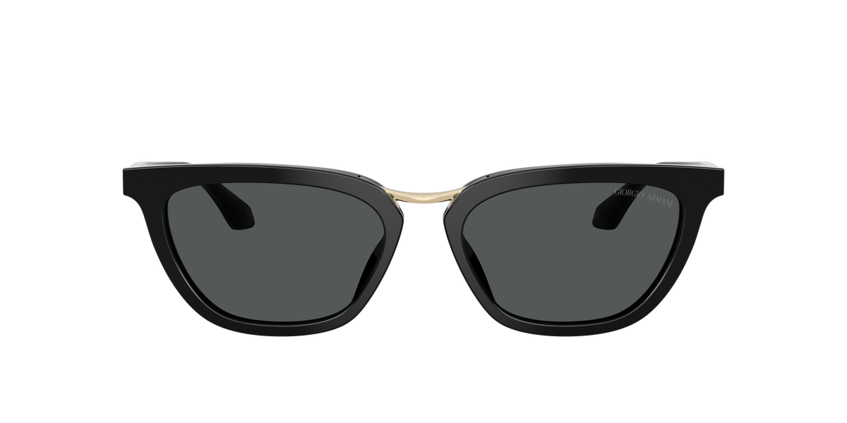 Giorgio Armani AR8253U 501787