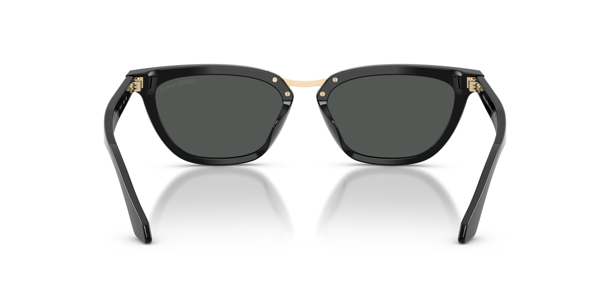 Giorgio Armani AR8253U 501787