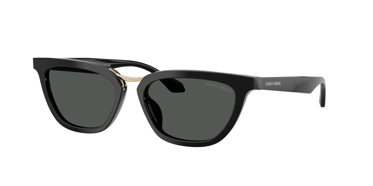 Giorgio Armani AR8253U 501787