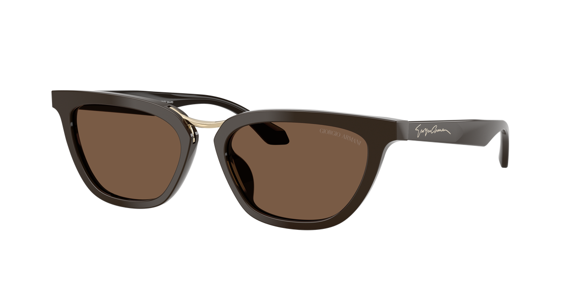 Giorgio Armani AR8253U 639873