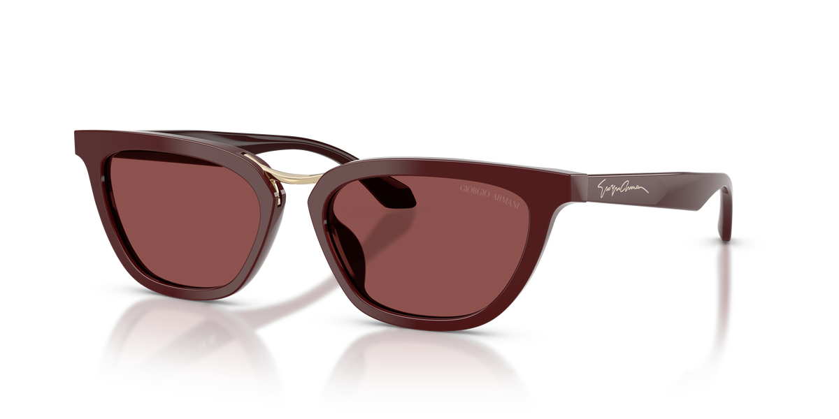 Giorgio Armani AR8253U 639775