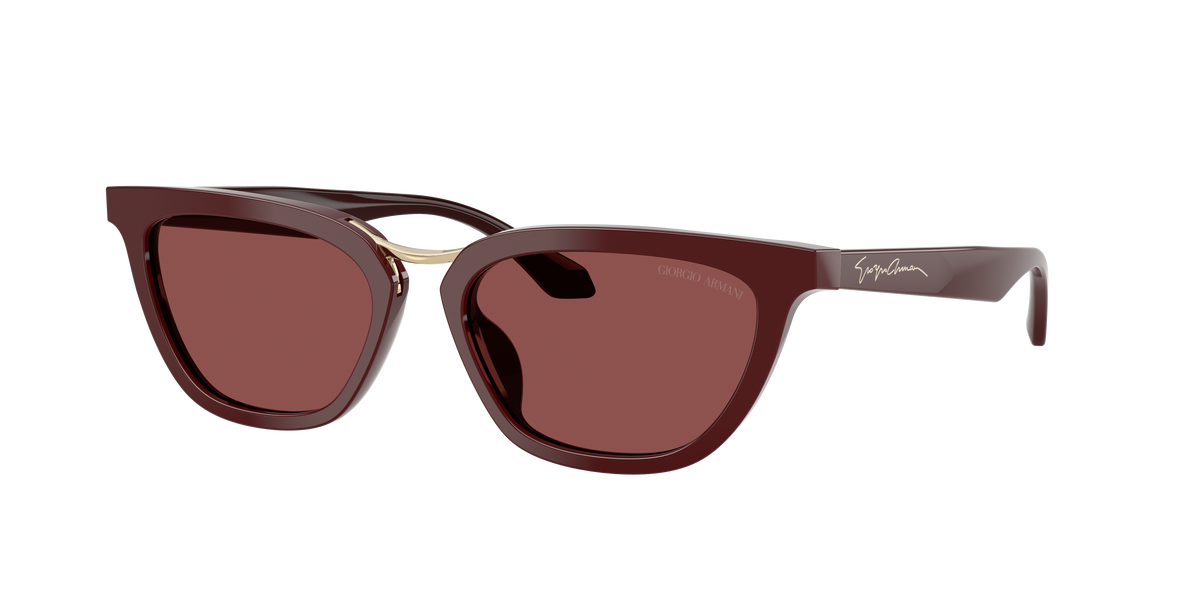 Giorgio Armani AR8253U 639775
