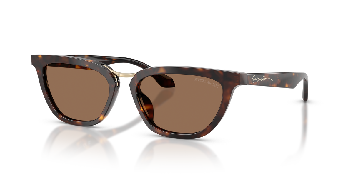 Giorgio Armani AR8253U 612473