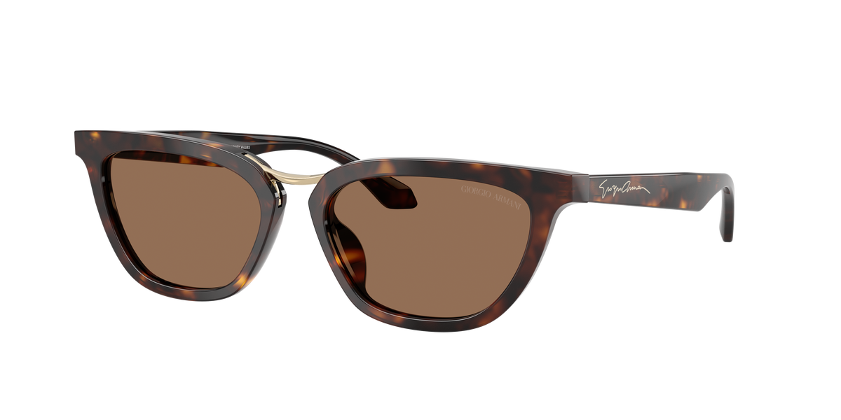 Giorgio Armani AR8253U 612473