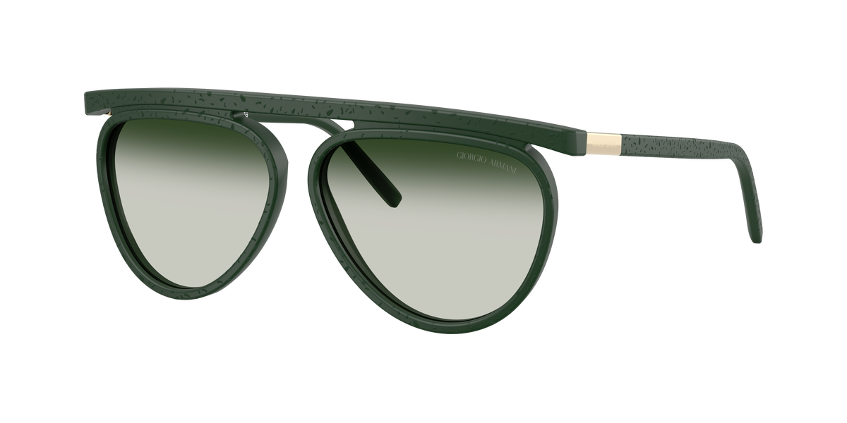 Giorgio Armani AR8262 64307Z